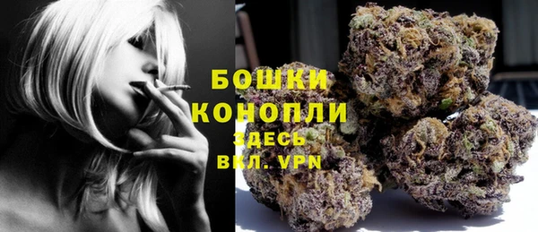 apvp Армянск