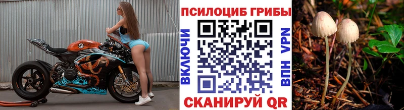 Галлюциногенные грибы ЛСД Купить Бикин